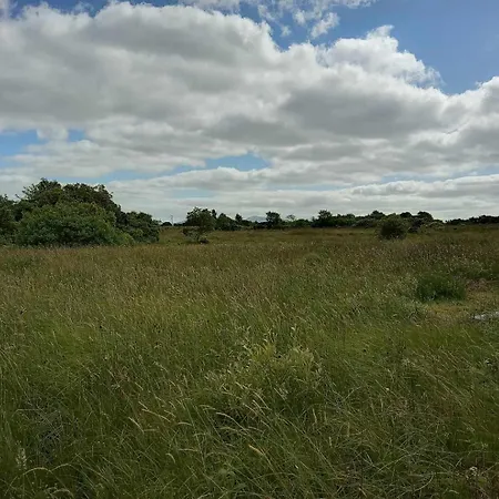 Blanemore Wilderness Camping Ballina (Mayo)
